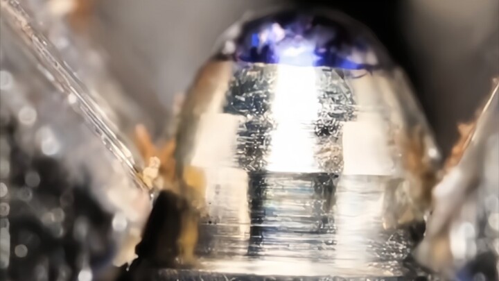 “The Microscopic World You’ve Never Seen Before”