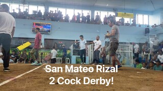 2 Cock Derby @San Mateo Cockpit