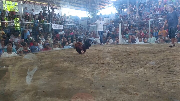 Hackfight @ RMI Cockpit Arena (DRAW)