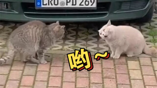 Aku hanya seorang saudari yang perhatian dan baik hati.