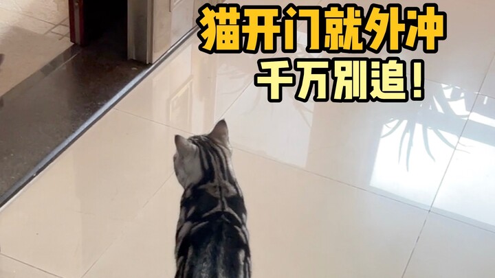 啥都可以！就是别追！