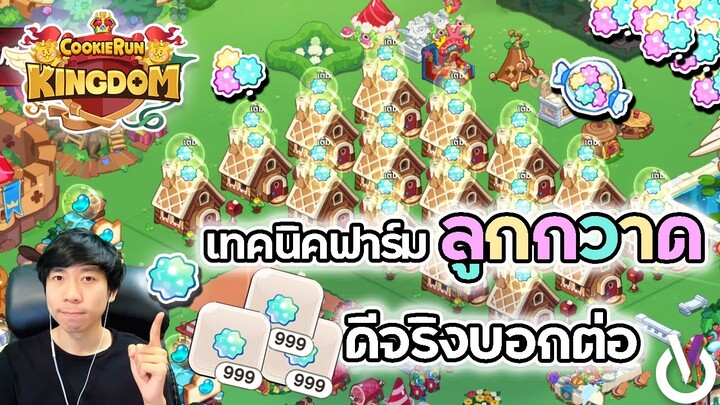 เทคนิคฟาร์มลูกกวาดexp ดีจริงบอกต่อ | Cookie Run Kingdom