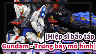 [Hiệp sĩ bão táp Gundam - Trưng bày mô hình]