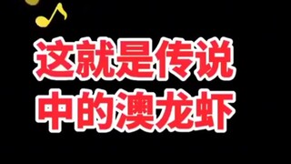 肖战采访，不知道澳龙虾的意思……