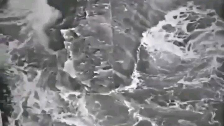 🔥ICEBERG🔥