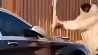 Pemilik Mercedes Benz: Menangis, menangis juga dihitung sebagai waktu!!!