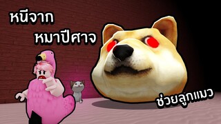 ช่วยลูกแมวหลบหนีจากหมาปีศาจ | Roblox Doge Head Escape