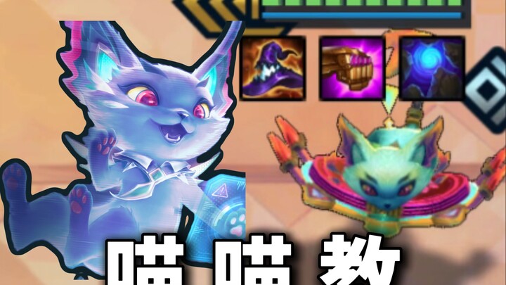 [Class Talk] A Surprising Twist for Little Kitty