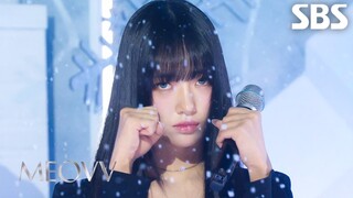 MEOVV เปิดตัวเพลงใหม่ TOXIC บนเวทีแรก!