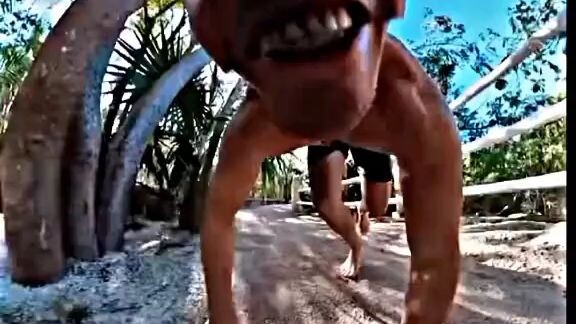 tawa ka muna 🤣🤣🤣🤣