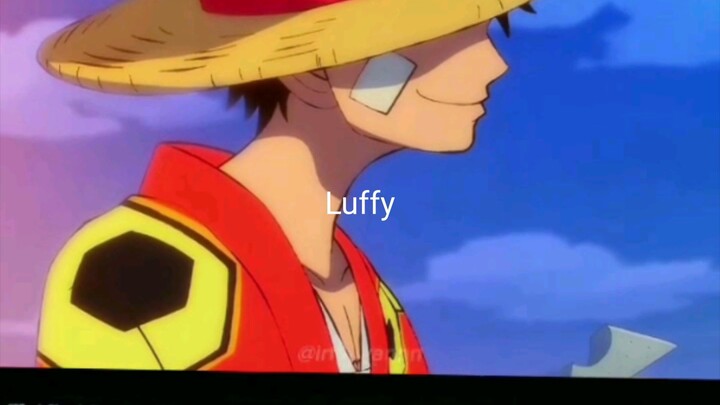 D.Luffy