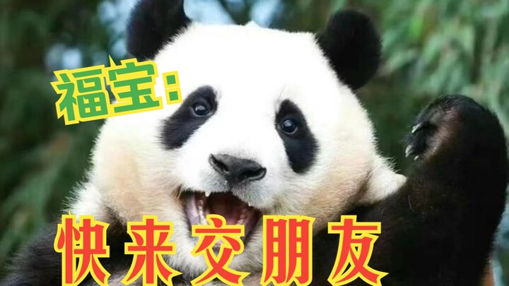 Phúc Bảo mập lên đáng kể giờ đã bắt đầu kết bạn mới, trở thành một “cô nàng xã giao” nhí rồi!