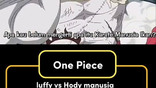 lufi vs hodi
