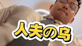 乌老师擦边小剧场系列，解锁新视角，人夫感爆棚~