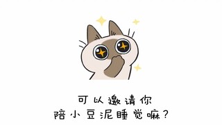【暹罗猫小豆泥】泥壕，或许你会有一个失眠的碰柚？