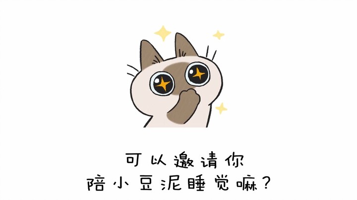 【暹罗猫小豆泥】泥壕，或许你会有一个失眠的碰柚？