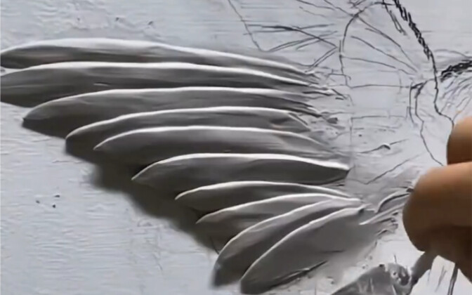 你见过这么生动的翅膀吗