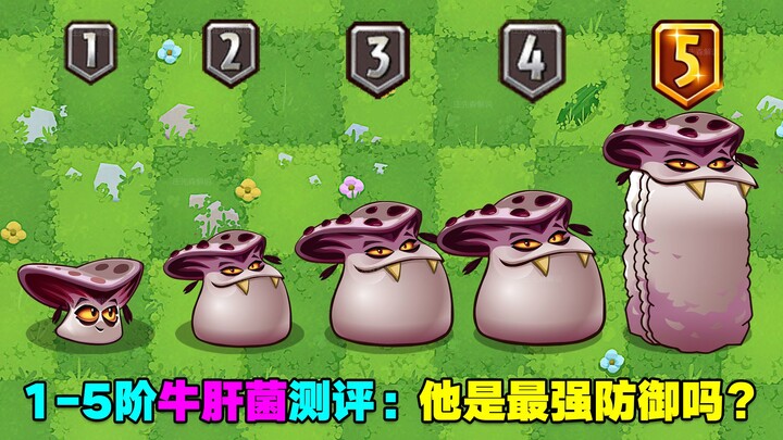 Ulasan Jamur Hati Sapi Pengisap Darah Level 1–5: Apakah Dia Pertahanan Terkuat? Konon Bisa Bangkit T