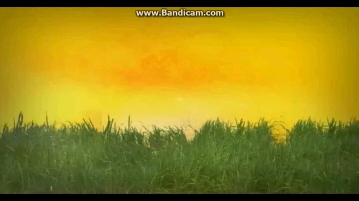 Bananana ENG Promo NTV7