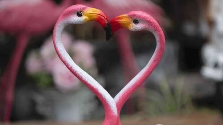 “❤️I Really Like You❤️”