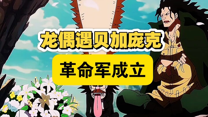 龙偶遇贝加庞克，革命军成立