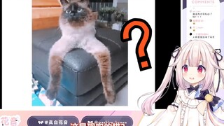 猫都是克苏鲁生物？给日本萝莉整懵了