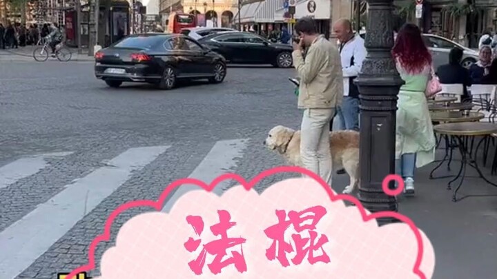 สิ่งที่เห็นได้แค่ในปารีสเท่านั้น