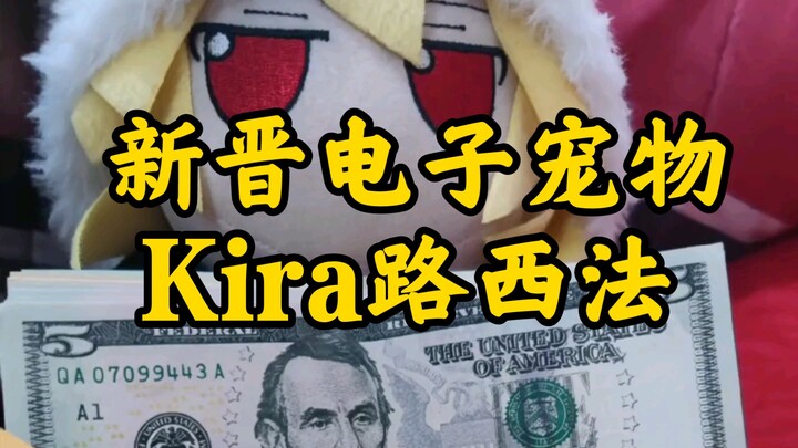 6.2 Newly Popular Cute Pet Kira Lucifer
