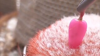 来体验收获仙人球果实的快乐，拔出来的瞬间太舒适了