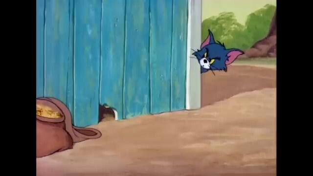 Tom & Jerry em