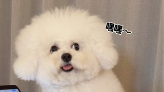 Such a sweet talker! Who could resist?