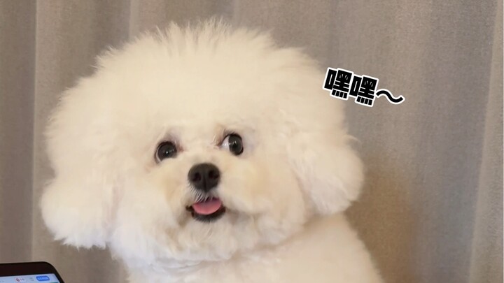 Dụng chiêu nũng nịu giỏi thế này! Ai mà chịu nổi đây