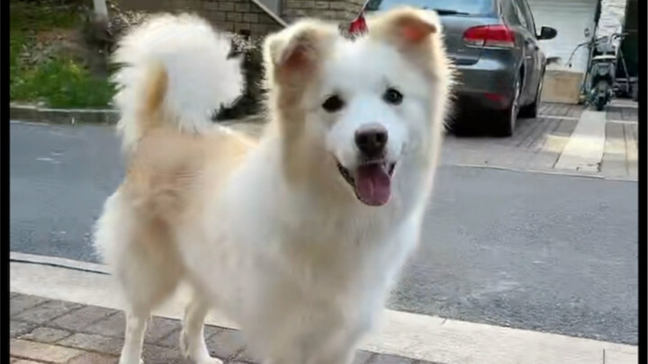 I definitely can't be lazy next time!