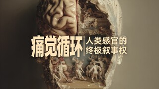 The Pain Cycle: The Ultimate Narrative Power of Human Senses