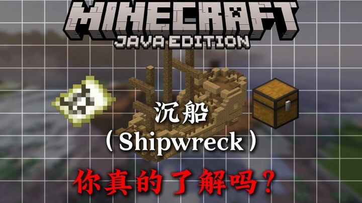 In 3 minutes, learn all about the MC shipwreck!!