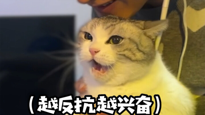 No way—I’m sure the cat made the first move!