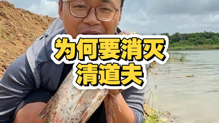 Người đàn ông phóng sinh cá lau kính gây tranh cãi, vì sao loài cá này nhất định phải bị tiêu diệt? 