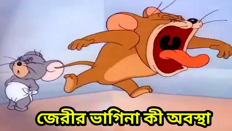 Tom And Jerry Bangla Cartoon New Dubbing  Tom And Jerry Bangla _  টম এন্ড জেরী বাংলা ডাবিং - Bilibili