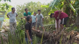 ĂN ĐÁM GIỖ Ở NHÀ CHA MẸ VỢ | Chuyện Phương Kể • Tập 135