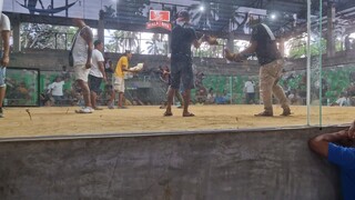 Assassin Hatch in action