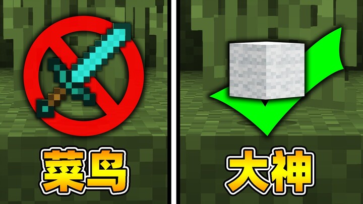 把方块运用到极致，颠覆你对MC的认知！