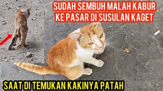 Astagfirullah Tadinya Kakinya Patah Udah Sembuh Malah Kabur Ke Pasar..!
