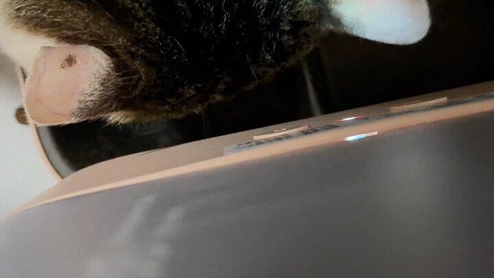 Just a few missed meals, and I almost ended up in the hospital. History really does repeat itself, d