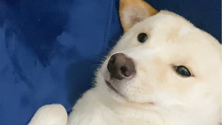 Is it really this smooth?