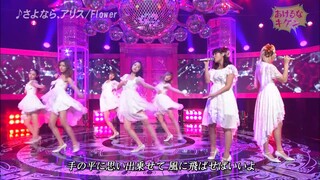 Sayonara, Alice by Flower — Live Performance on Akeru na Kiken [15th February 2015]