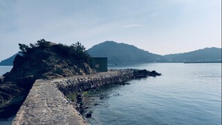 【夏日口袋】又幻想了。。。会遇见白发蓝瞳美少女吗？