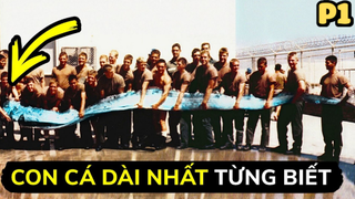 10 Sinh Vật Dưới Biển Sâu Sẽ Khiến Bạn Gặp Ác Mộng (PHẦN 1)
