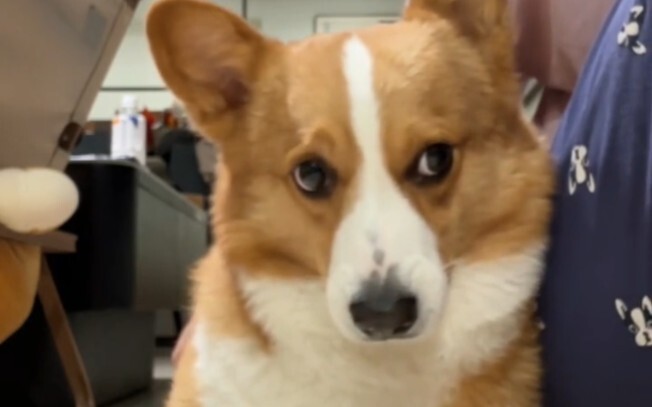 The battle has begun!