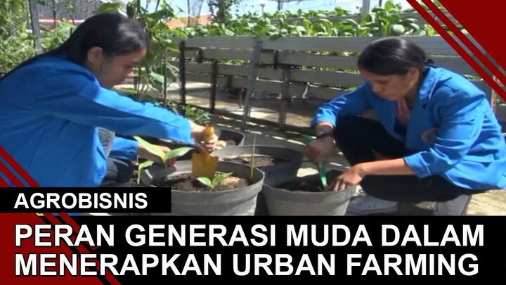 PERAN GENERASI MUDA DALAM MENERAPKAN URBAN FARMING | AGROBISNIS