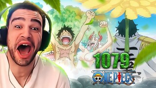 WANO BANQUET + NEW BOUNTIES!  | One Piece Episode 1079 Reaction